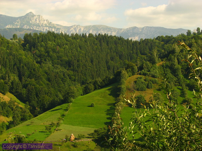 2008-09-01 16-01-45.JPG - 2008-RO>Ri Rucar